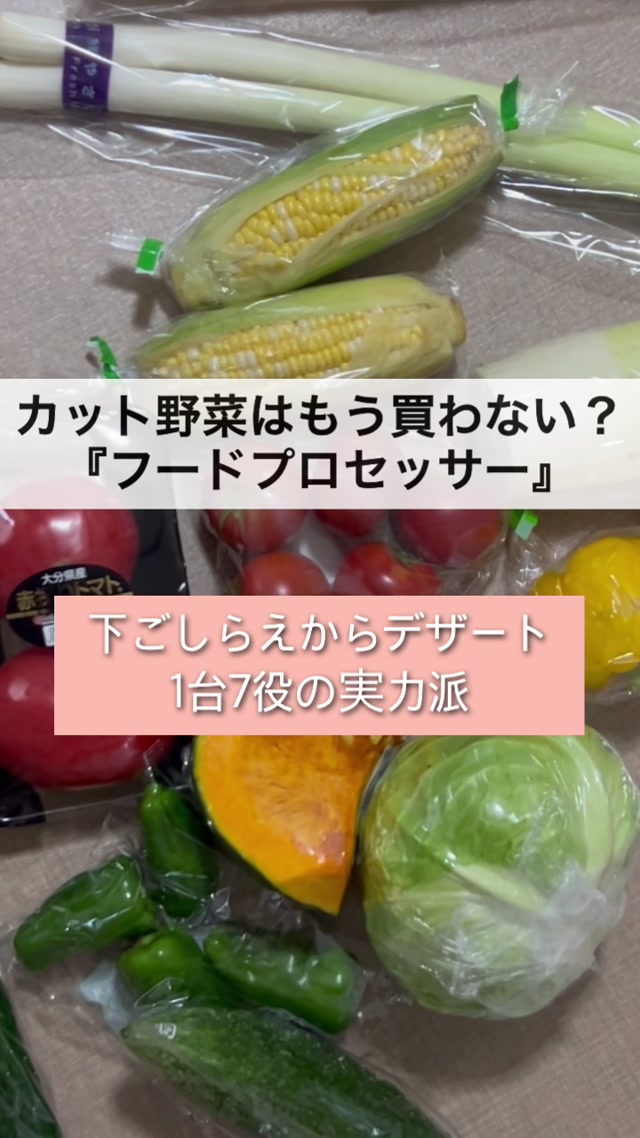 【アムウェイ】フードプロセッサー